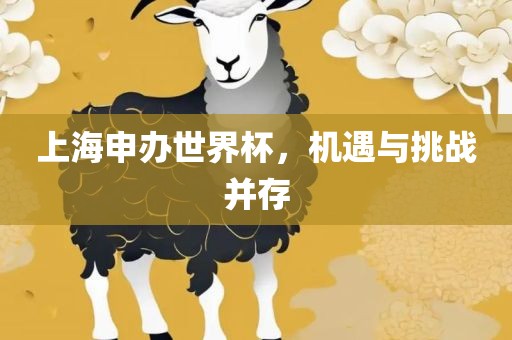 上海申办世界杯，机遇与挑战并存