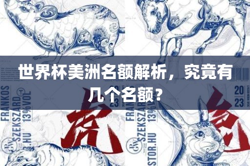 世界杯美洲名额解析，究竟有几个名额？眉山市正发家政服务有限公司