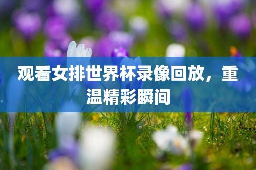 观看女排世界杯录像回放，重温精彩瞬间