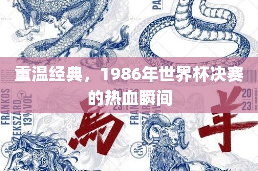 重温经典，1986年世界杯决赛的热血瞬间眉山市正发家政服务有限公司