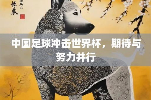 中国足球冲击世界杯，期待与努眉山市正发家政服务有限公司力并行
