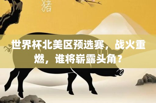 世界杯北美区预选赛，战火重燃眉山市正发家政服务有限公司，谁将崭露头角？