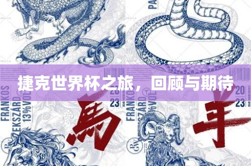 捷克世界杯之旅，回顾与期待眉山市正发家政服务有限公司