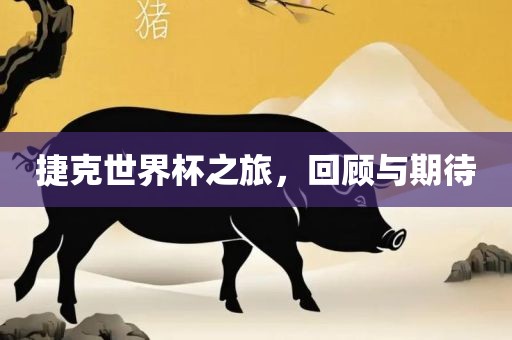 捷克眉山市正发家政服务有限公司世界杯之旅，回顾与期待