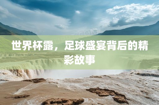 世界杯露，足球盛宴背后的精彩故事眉山市正发家政服务有限公司