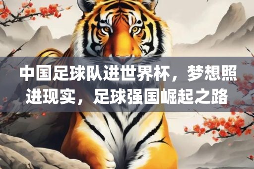 中国足球队进世界杯，梦想照进现实，足球强国崛起之路眉山市正发家政服务有限公司