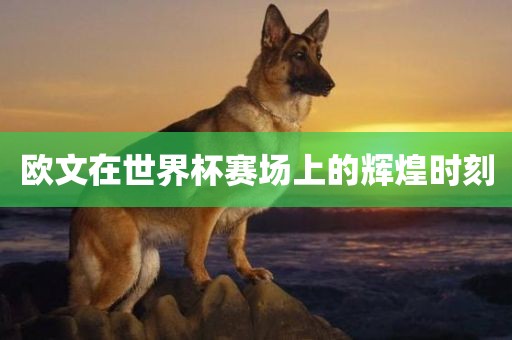欧文在世界杯赛场上的辉煌时刻眉山市正发家政服务有限公司