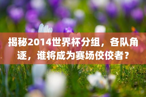 揭秘2014世界杯分组，各队角逐，谁将成为赛场佼佼者？