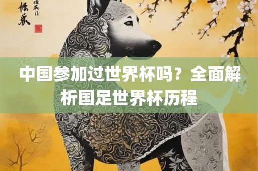 中国参加过世界杯吗？全面解析国足世界杯历程眉山市正发家政服务有限公司