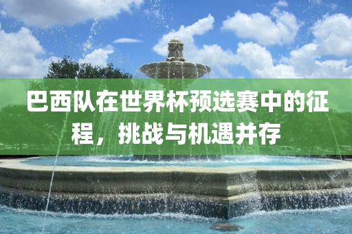 巴西队在世界杯预选赛中的征程，挑战与机遇并存眉山市正发家政服务有限公司
