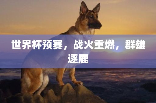 世界杯预赛，战火重燃，群雄逐鹿