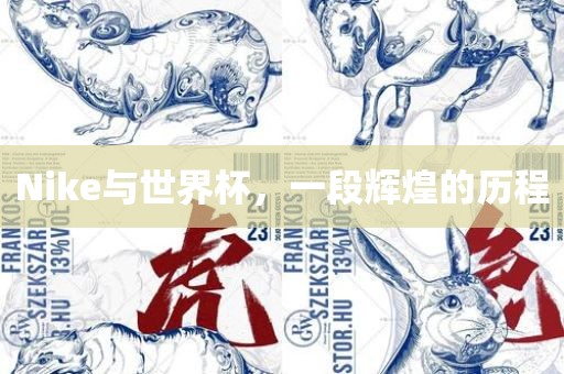 Nike与世界杯，一段辉煌的历程眉山市正发家政服务有限公司