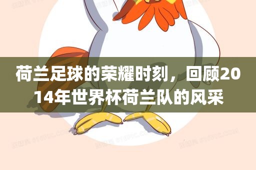 荷兰足球的荣耀时刻，回顾2014年世界杯荷兰队的风采眉山市正发家政服务有限公司
