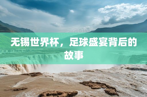 无锡世界杯，眉山市正发家政服务有限公司足球盛宴背后的故事