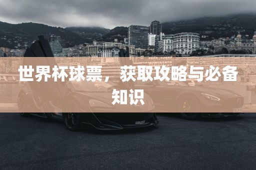 世界杯球票，获取攻略与必备知识眉山市正发家政服务有限公司