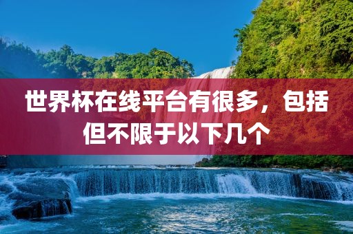 世界杯在线平台有很多，包括但不限于以下几个眉山市正发家政服务有限公司