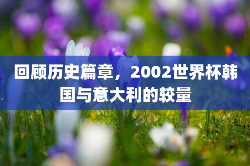 回顾历史篇章，2002世界杯韩国与意大利的较量
