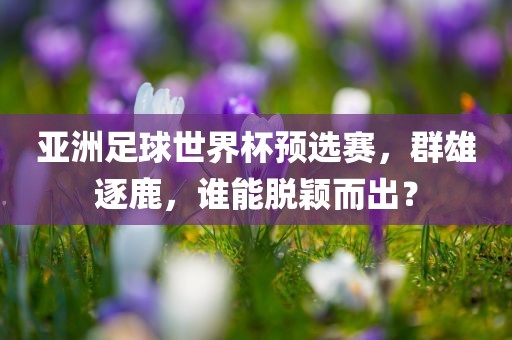亚洲足球世界杯预选赛，群雄眉山市正发家政服务有限公司逐鹿，谁能脱颖而出？