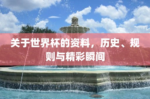 关于世界杯的资料，历史、规则与精彩瞬间眉山市正发家政服务有限公司