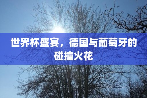 世界杯盛宴，德国与葡萄牙的碰撞火花眉山市正发家政服务有限公司