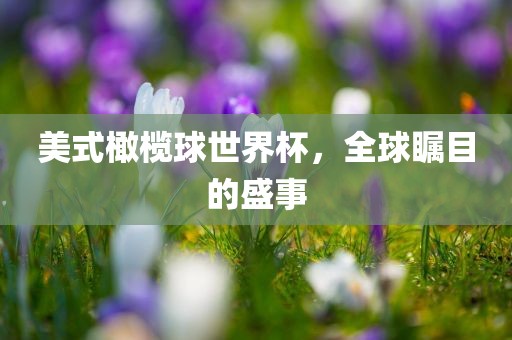 美式橄榄球世界杯，全球瞩目的盛事眉山市正发家政服务有限公司