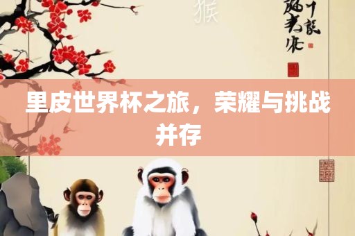 里皮世界杯之旅，荣耀与挑战并存