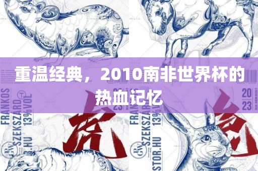 重温经典，2010南非世界杯的热血记忆眉山市正发家政服务有限公司