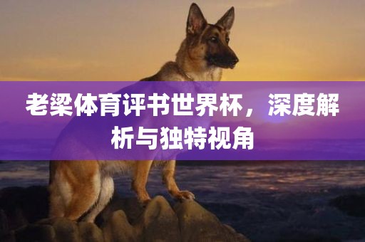老梁体育评书世界杯，深度解析与独特视角眉山市正发家政服务有限公司