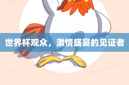 世界杯观众，激情盛宴的见证者眉山市正发家政服务有限公司