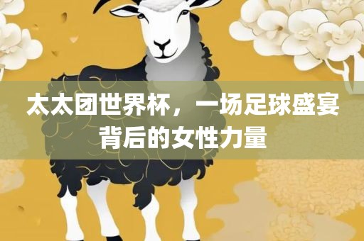太太团世界杯，一场足球盛宴背后的女性力量眉山市正发家政服务有限公司