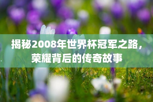 揭秘2008年世界杯冠军之路，荣耀背后的传奇故事眉山市正发家政服务有限公司