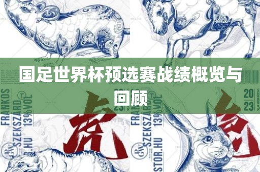 国足世界杯预选赛战绩概览与回顾