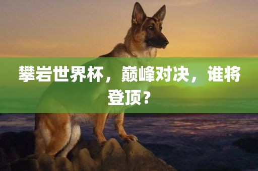 攀岩世界杯，巅峰对决，谁将登顶？