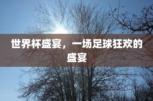 世界杯盛宴，一场足球狂欢的盛宴眉山市正发家政服务有限公司