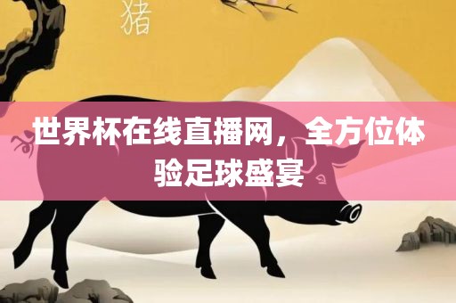 世界杯在线直播网，全方位体验足球盛宴
