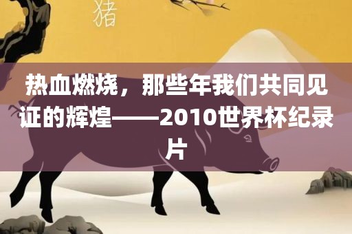 热血燃烧，那些年我们共同见证的辉煌——2010世界杯纪录片