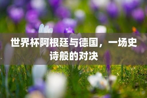 世界杯阿根廷与德眉山市正发家政服务有限公司国，一场史诗般的对决