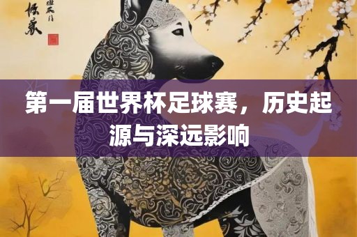 第一届世界杯足球赛，历史起源与深远影响眉山市正发家政服务有限公司