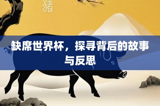 缺席世界杯，探寻背后眉山市正发家政服务有限公司的故事与反思