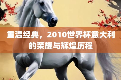 重温经典，2010世界杯意大利的荣耀与辉煌历程眉山市正发家政服务有限公司