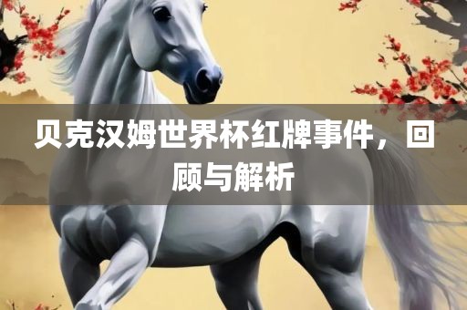 贝克汉姆世界杯红牌事件，回顾与解析眉山市正发家政服务有限公司