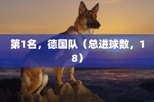 第1名，德国队（总进球数，18）眉山市正发家政服务有限公司
