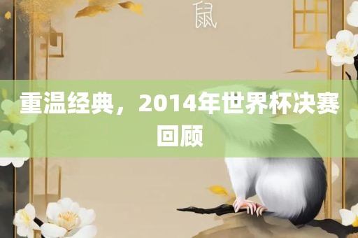 重温经典，2014年世界杯决眉山市正发家政服务有限公司赛回顾