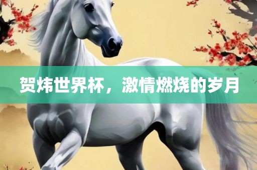 贺炜世界杯，激情燃烧的岁月眉山市正发家政服务有限公司
