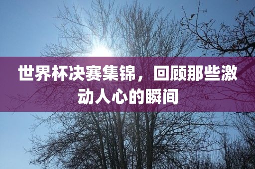 世界杯决赛集锦，回顾那些激动人心的瞬间眉山市正发家政服务有限公司