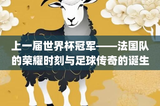 上一届世界杯冠军——法国队的荣耀时刻与足球传奇的诞生眉山市正发家政服务有限公司