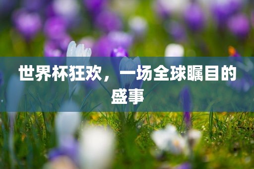 世界杯狂欢，一场全球瞩目的盛事眉山市正发家政服务有限公司