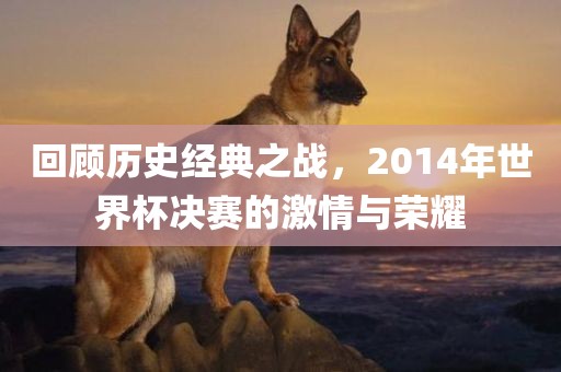 回顾历史经典之战，2014年世界杯决赛的激情与荣耀眉山市正发家政服务有限公司