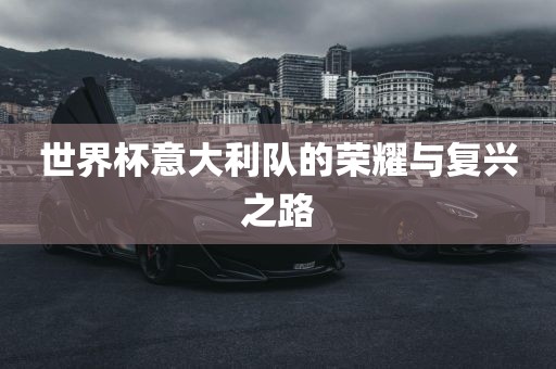 世界杯意大利队的荣耀与复兴之路眉山市正发家政服务有限公司