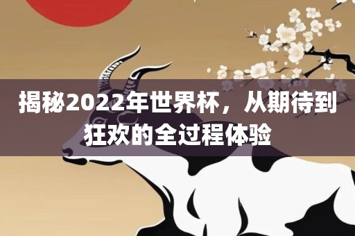 揭秘2022年世界杯，从期待到狂欢的全过程体验眉山市正发家政服务有限公司